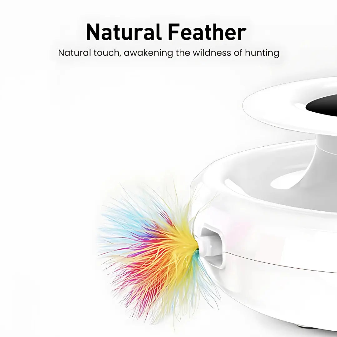 PurrPlay™ | Interaktives 2-in-1-Smart-Katzenspielzeug