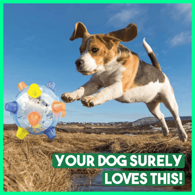BounceBark™ | Der Ball, der Langeweile vertreibt