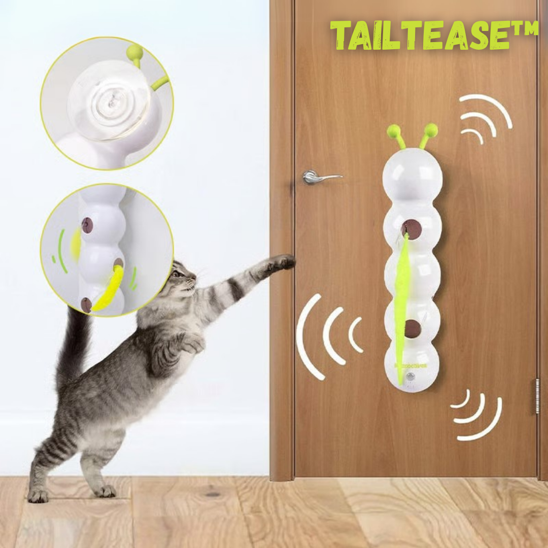 TailTease™ | Katzenspielzeug