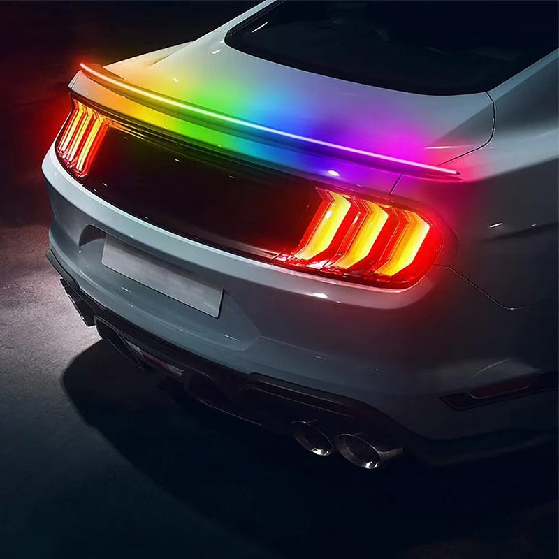 TailLight™ | Führen Sie den Weg mit hellem, sicherem Sicherheitslicht