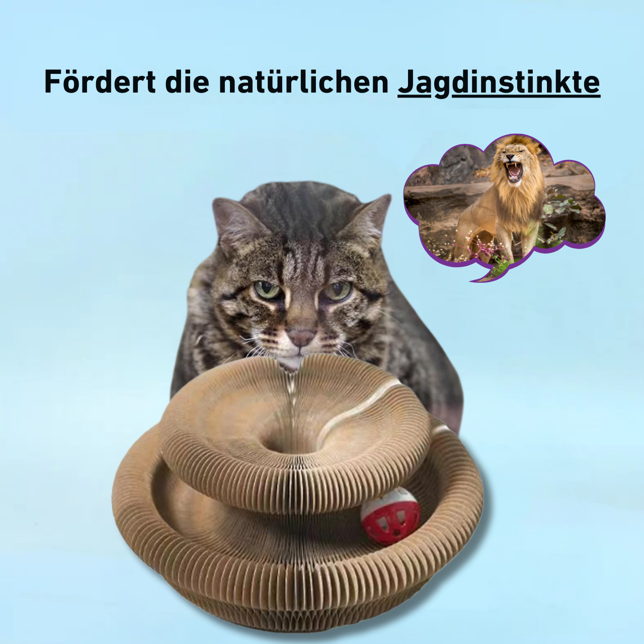 50 % Rabatt | ScratchPlay™ | Interaktives Kratzspiel mit Glöckchen für aktive Katzenmomente