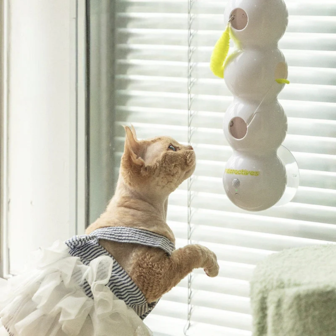TailTease™ | Katzenspielzeug