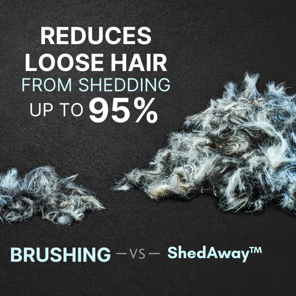 50% Rabatt | ShedAway™ | Pflegen Sie das Fell Ihres Lieblings effektiv und stressfrei