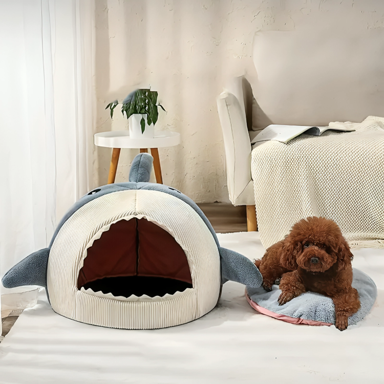50% Rabatt | SharkSnug™ | Perfekt für kleine Kuschelfreunde und große Entdecker.