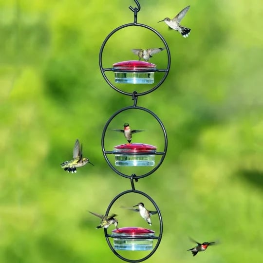 1+1 Gratis | Feedaura™ | Schlanker Kolibrifütterer