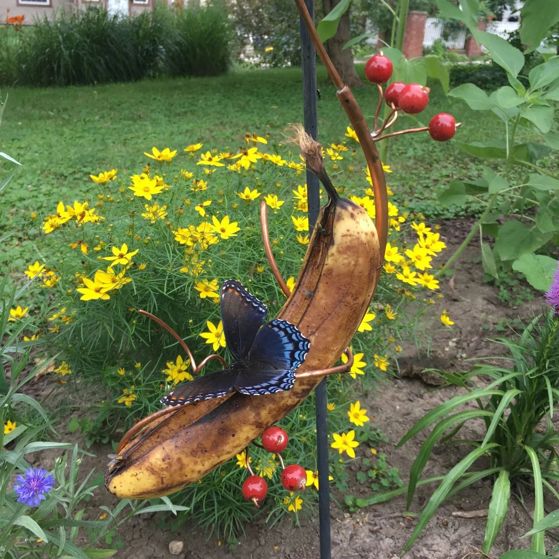 1+1 GRATIS | ButterflyLure | Schmetterlings-Bananenhalter – Natürliche Anziehungskraft