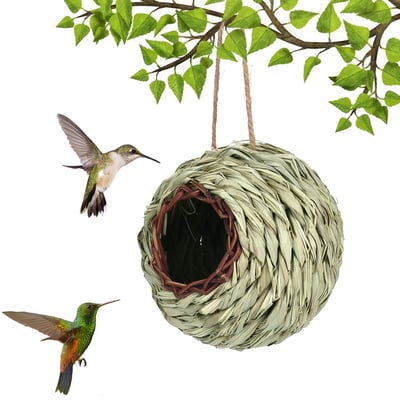 NestHaven | Biete Kolibris ein sicheres Zuhause für jedes Jahr