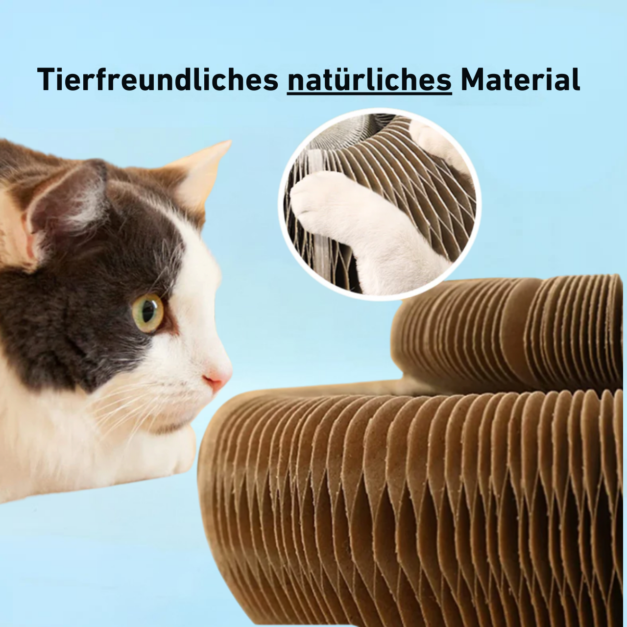 50 % Rabatt | ScratchPlay™ | Interaktives Kratzspiel mit Glöckchen für aktive Katzenmomente