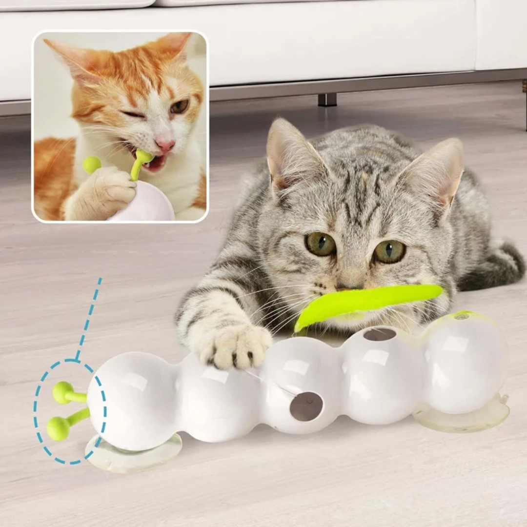 TailTease™ | Katzenspielzeug