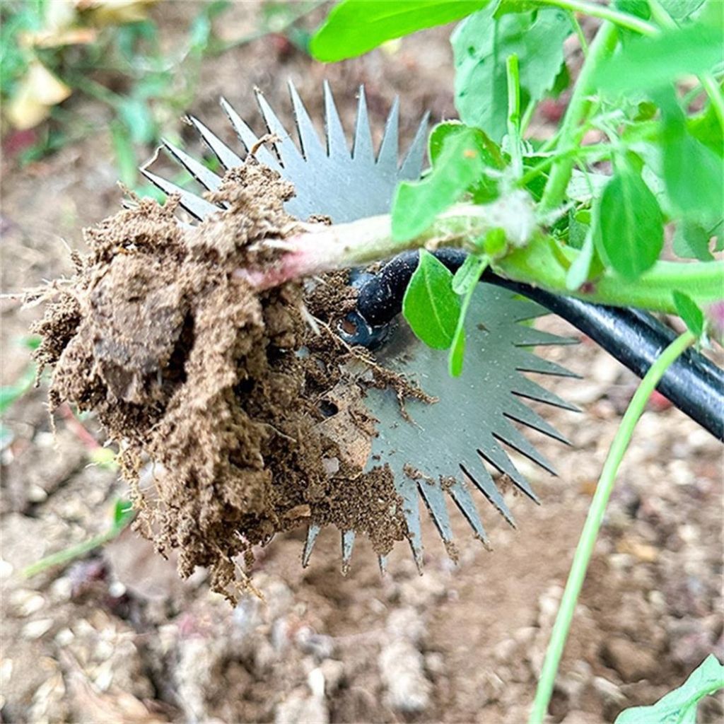 PlantPro | Sonnenblumenhacke mit Holzgriff – Mühelose Unkrautentfernung