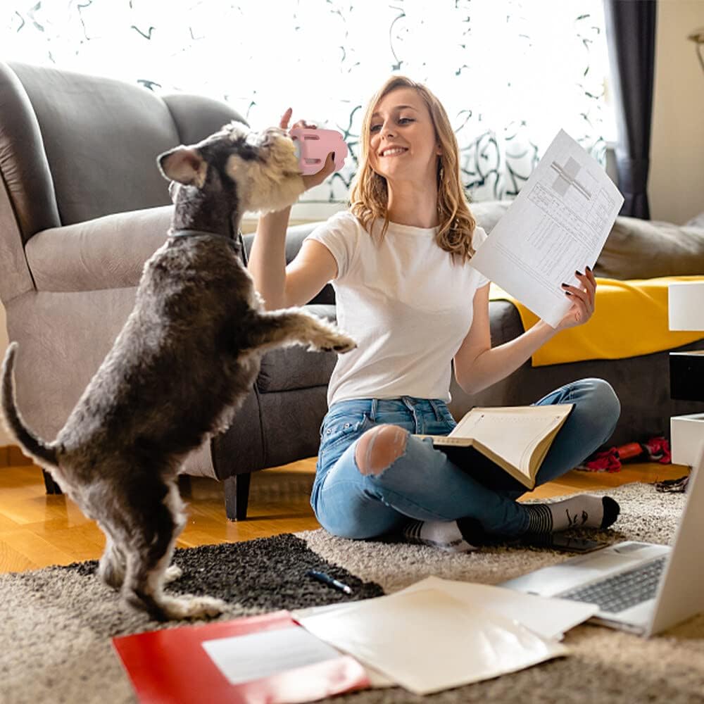 FetchFun™ | Tennis Hundekauspielzeug