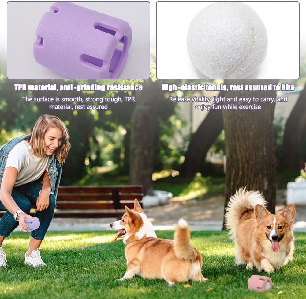 FetchFun™ | Tennis Hundekauspielzeug