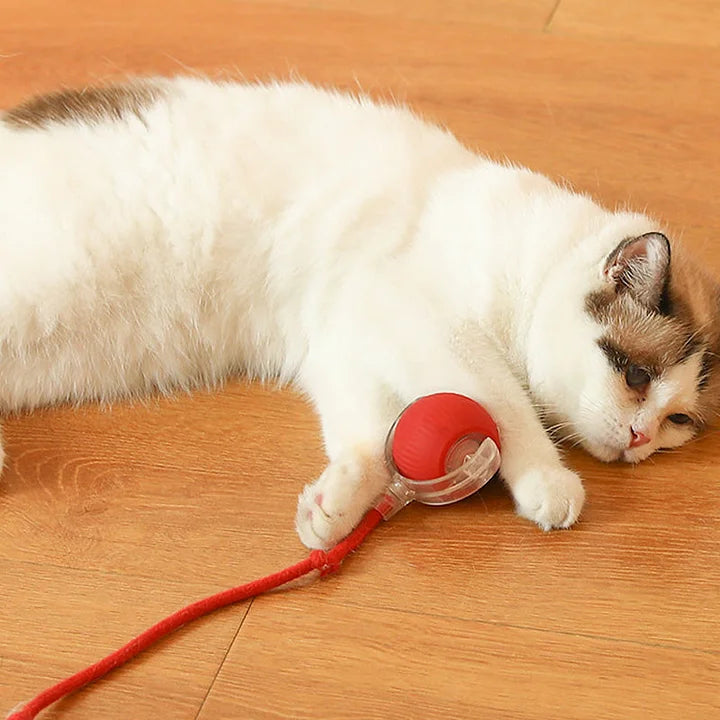PawPlay™ | Interaktives Katzenspielzeug-Ball