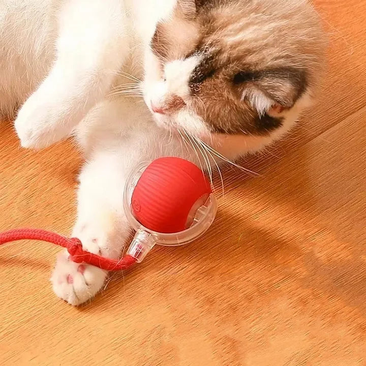 PawPlay™ | Interaktives Katzenspielzeug-Ball