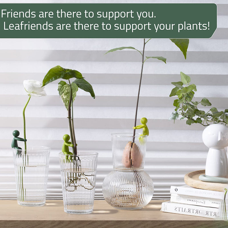 PlantBuddy | Pflanzenvermehrung Buddy