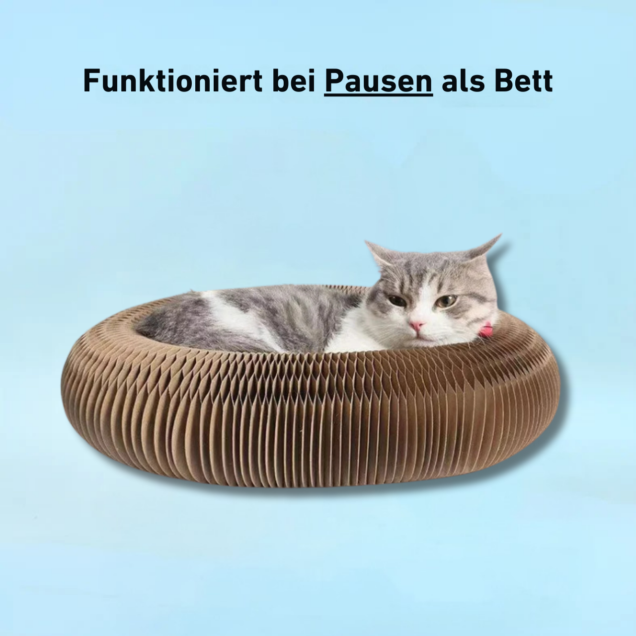 50 % Rabatt | ScratchPlay™ | Interaktives Kratzspiel mit Glöckchen für aktive Katzenmomente