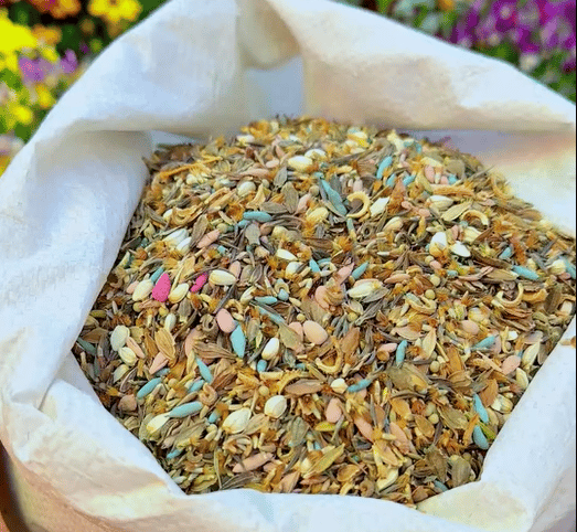 FlowerBloom™ | Mehrjährige Blumenmischung für ganzjährige Blütenpracht