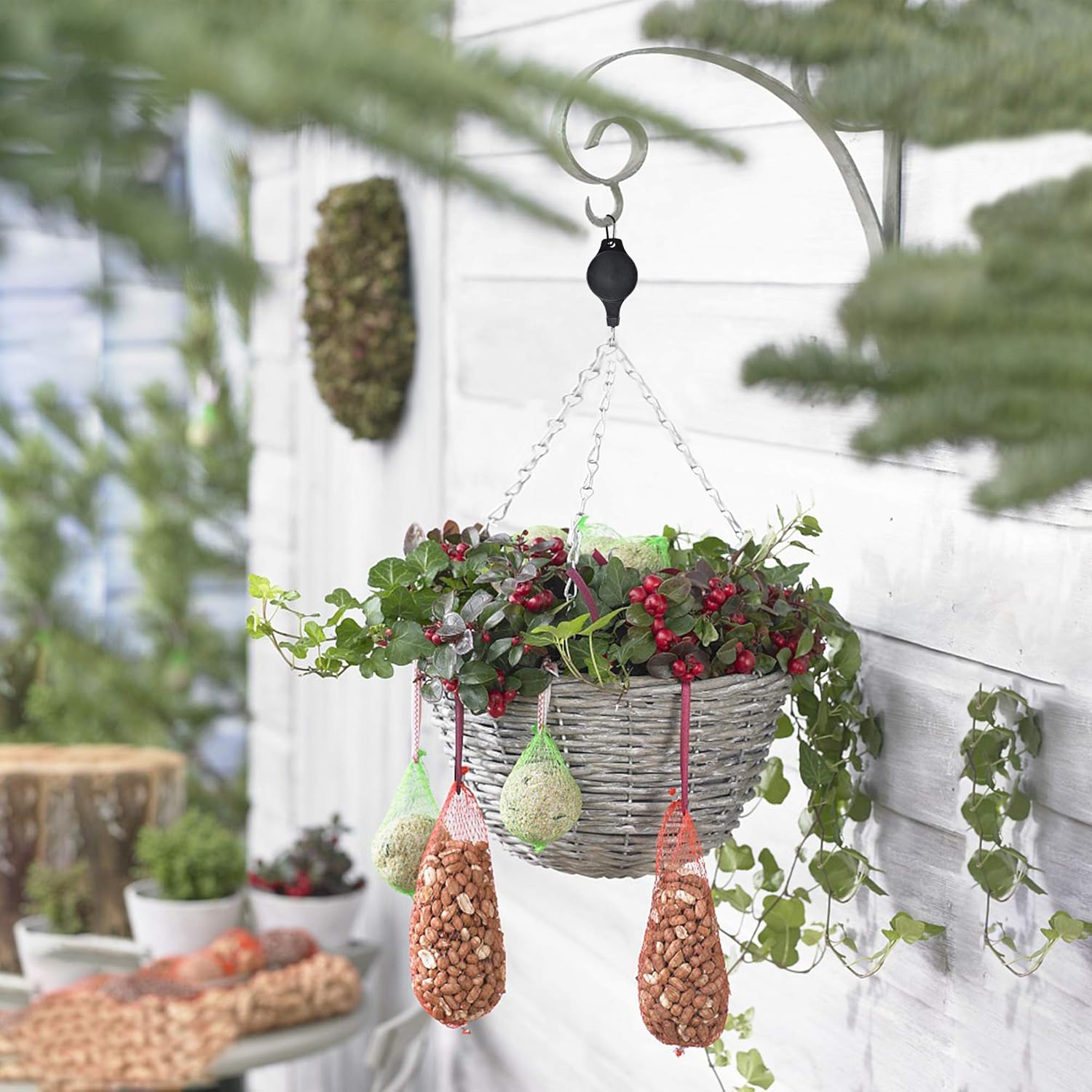 1+1 Gratis | PlantPro™ | Sparen Sie Zeit und Energie bei der Pflege Ihrer Pflanzen!