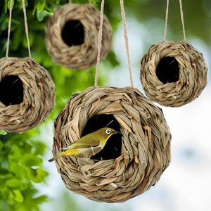 NestHaven | Biete Kolibris ein sicheres Zuhause für jedes Jahr