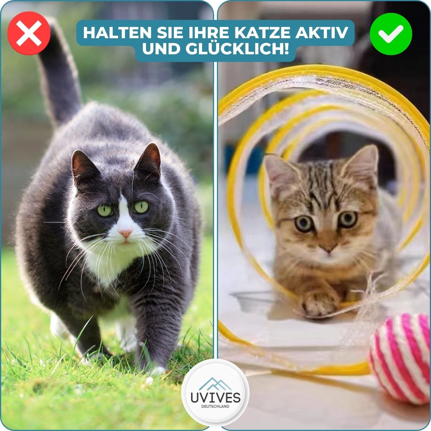 KittyMaze | Faltbarer Katzentunnel mit integrierten Spielzeugen