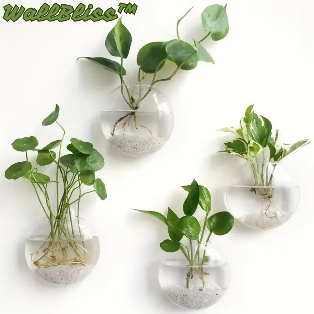 1+1 Gratis | WallBliss™ | Wandmontierte Klare Blumenvase