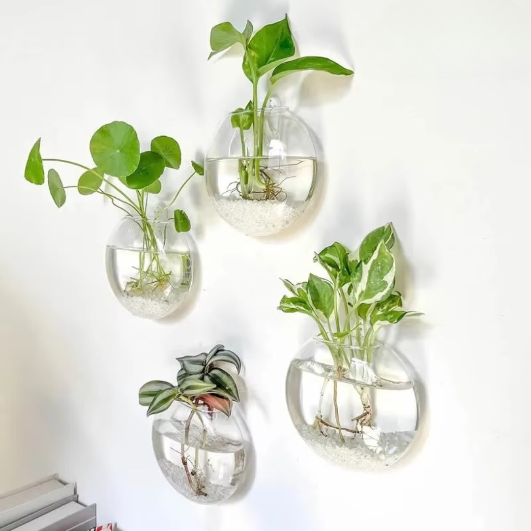 1+1 Gratis | WallBliss™ | Wandmontierte Klare Blumenvase