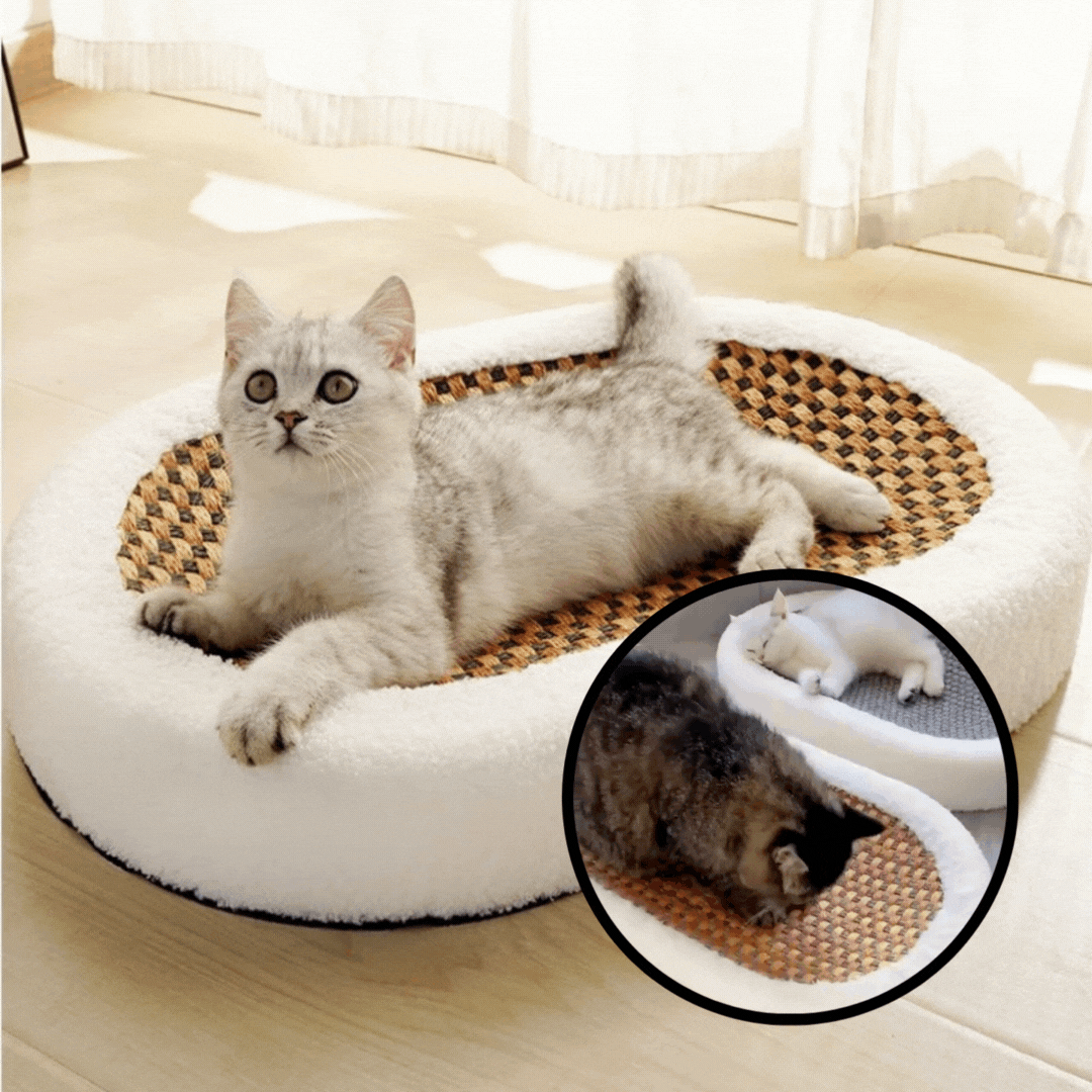50% Rabatt | ScratchNest™ | Plüsch-Katzenkorb mit integrierter Kratzfläche für Spielspaß