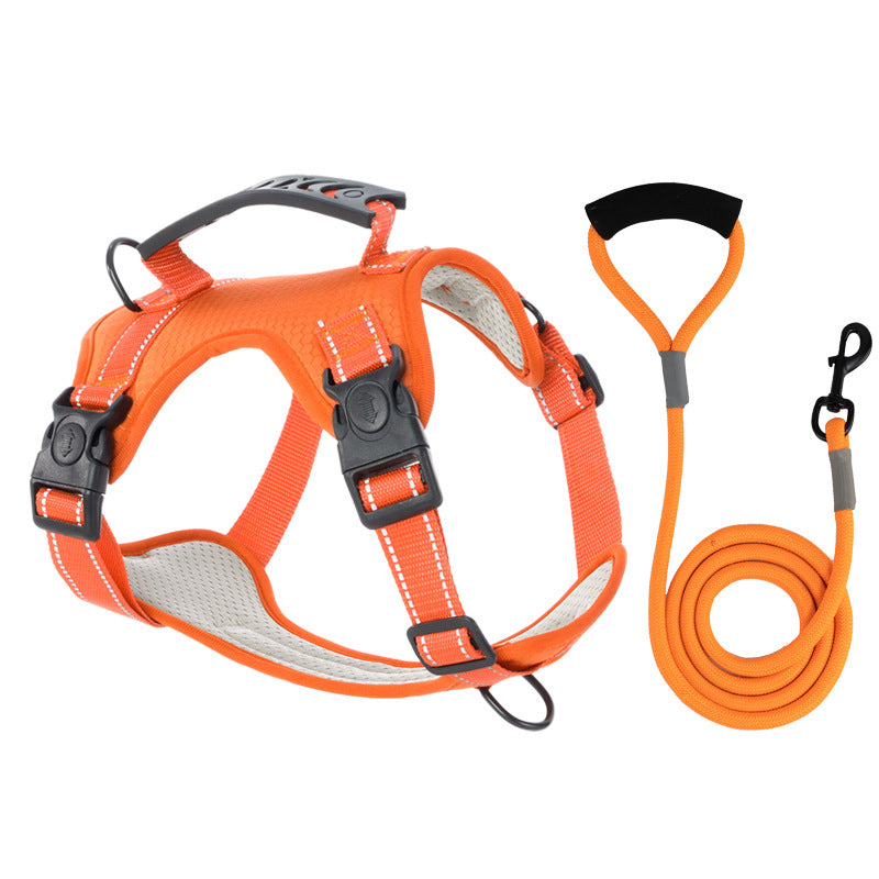 TailMate | Das bequeme Hundegeschirr