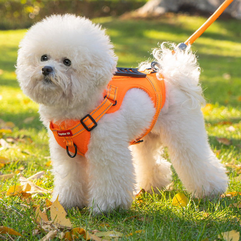 TailMate | Das bequeme Hundegeschirr