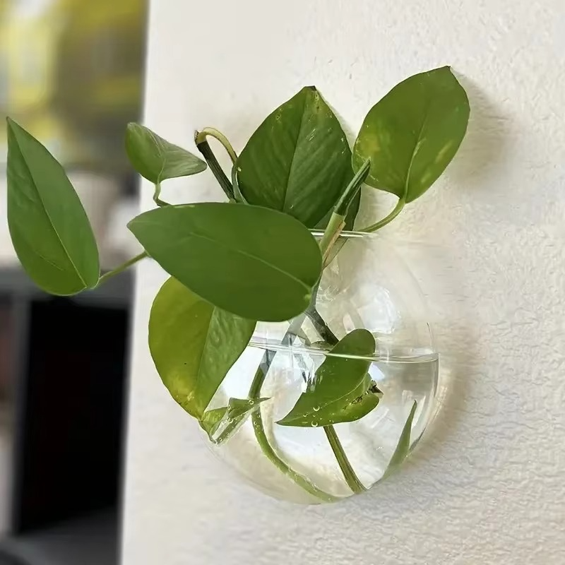 1+1 Gratis | WallBliss™ | Wandmontierte Klare Blumenvase