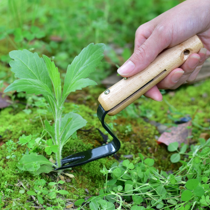 WeedTool | Kompakter Unkrautschneider