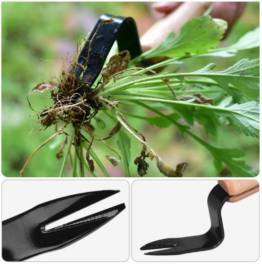 WeedTool | Kompakter Unkrautschneider