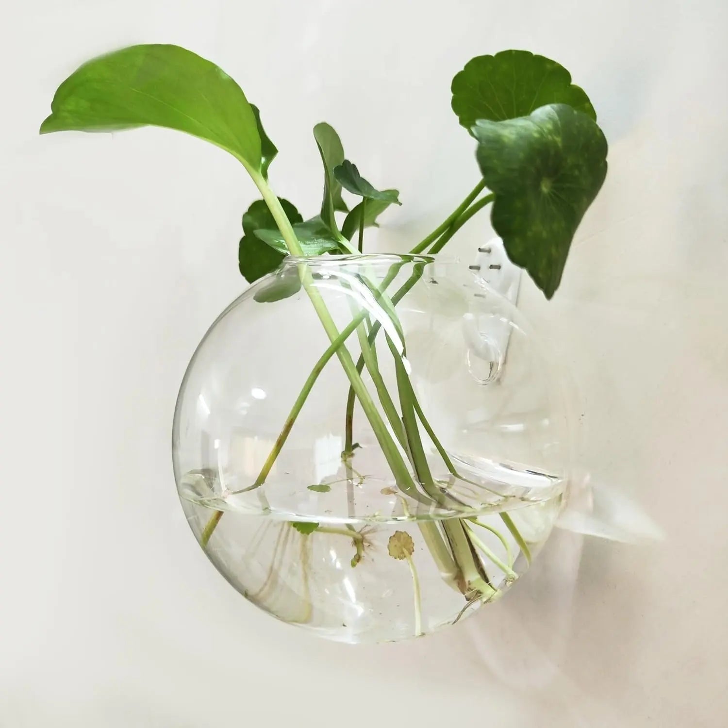VertiBloom™ | Vertikaler Garten & dekoratives Fischglas