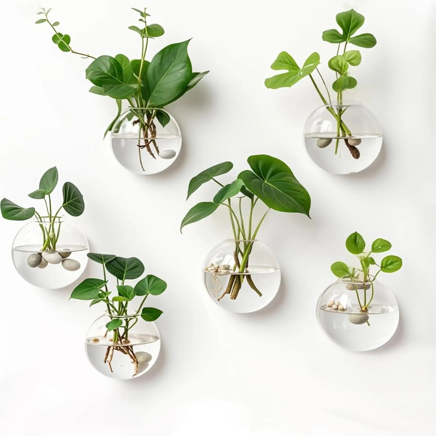 VertiBloom™ | Vertikaler Garten & dekoratives Fischglas