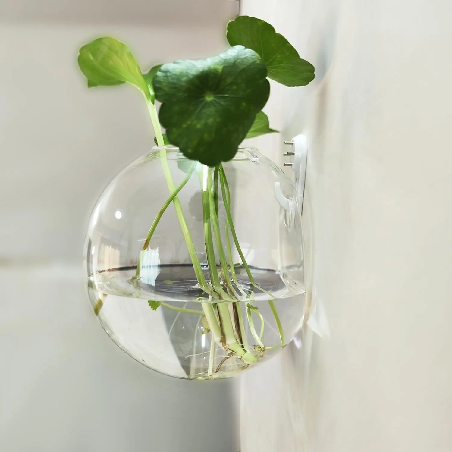 VertiBloom™ | Vertikaler Garten & dekoratives Fischglas