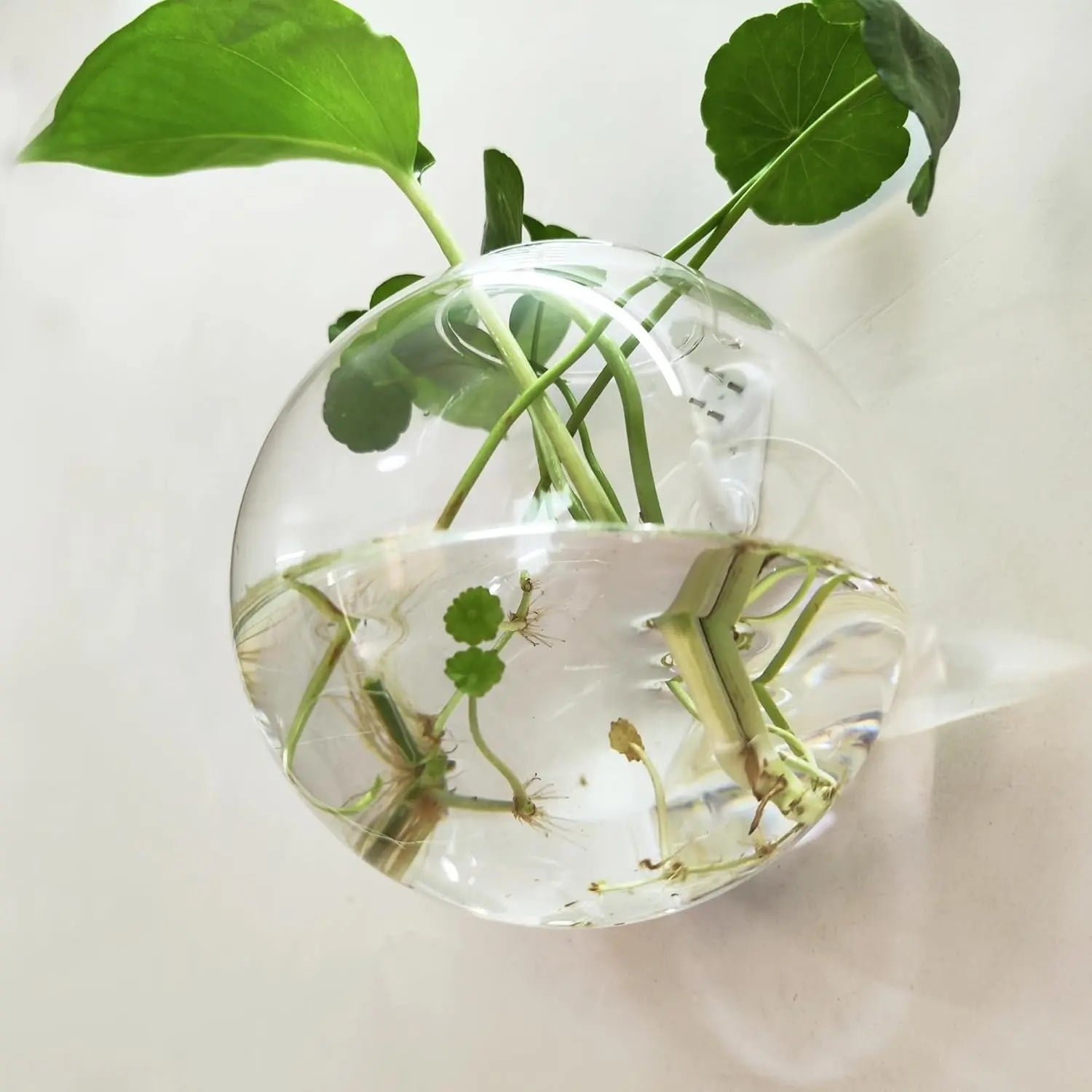 VertiBloom™ | Vertikaler Garten & dekoratives Fischglas
