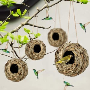 NestHaven | Biete Kolibris ein sicheres Zuhause für jedes Jahr