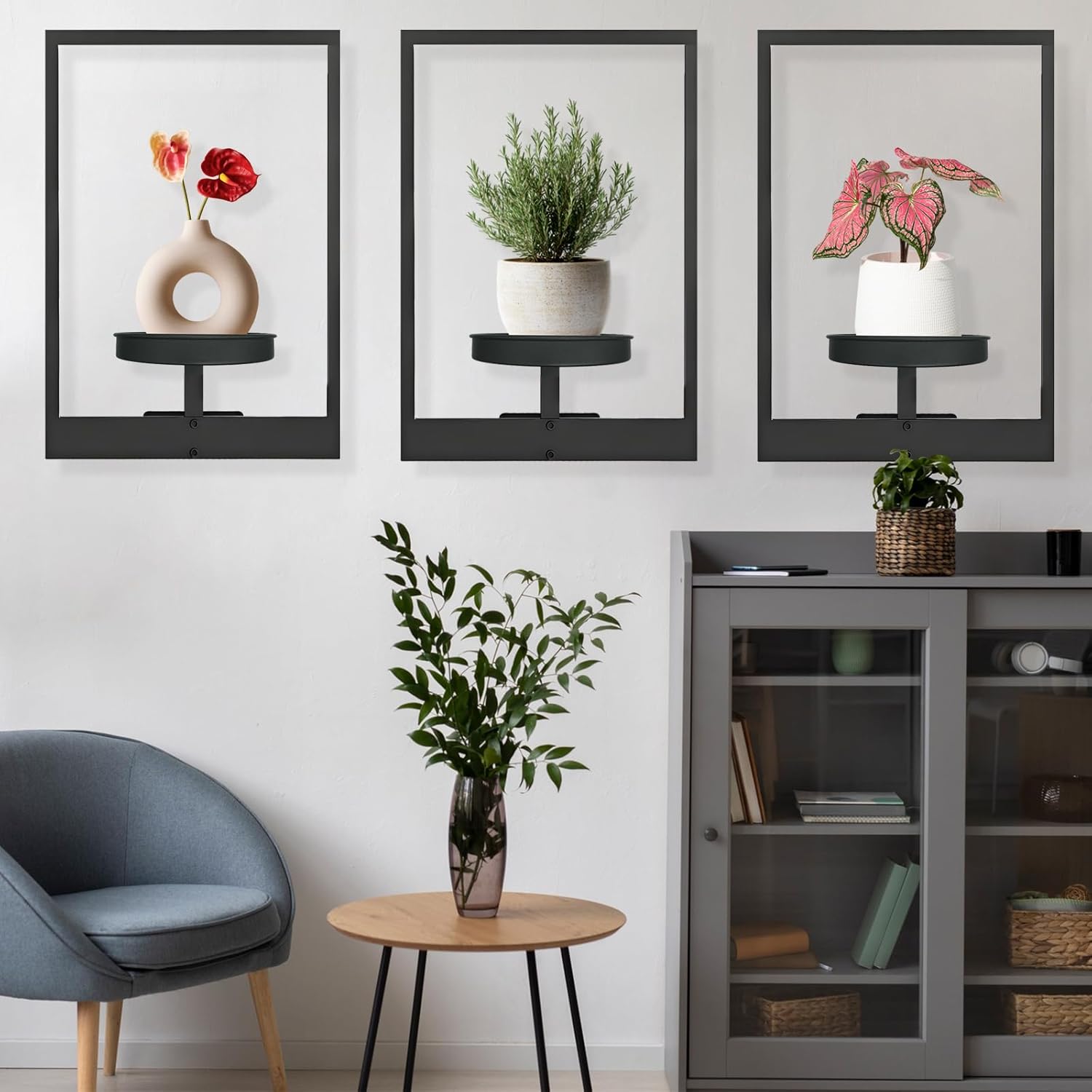 Plantify™ | Maximieren Sie Platz und Stil mit unserem multifunktionalen Wandpflanzenhalter