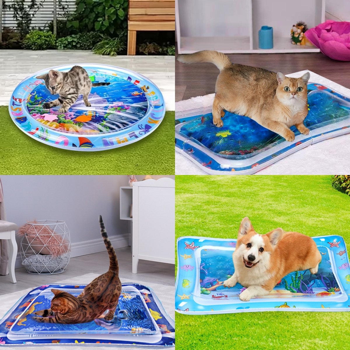 Puddle™ | Wasserspielmatte für Haustiere