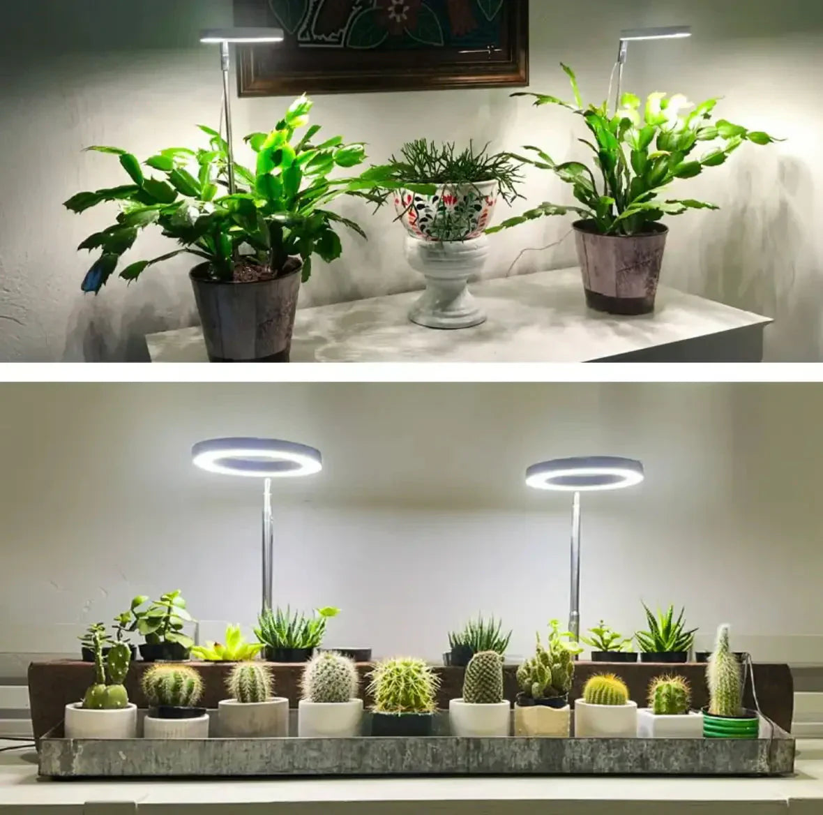 AdjustPlant | Verstellbare LED-Pflanzenlampe – Optimales Licht für gesundes Wachstum