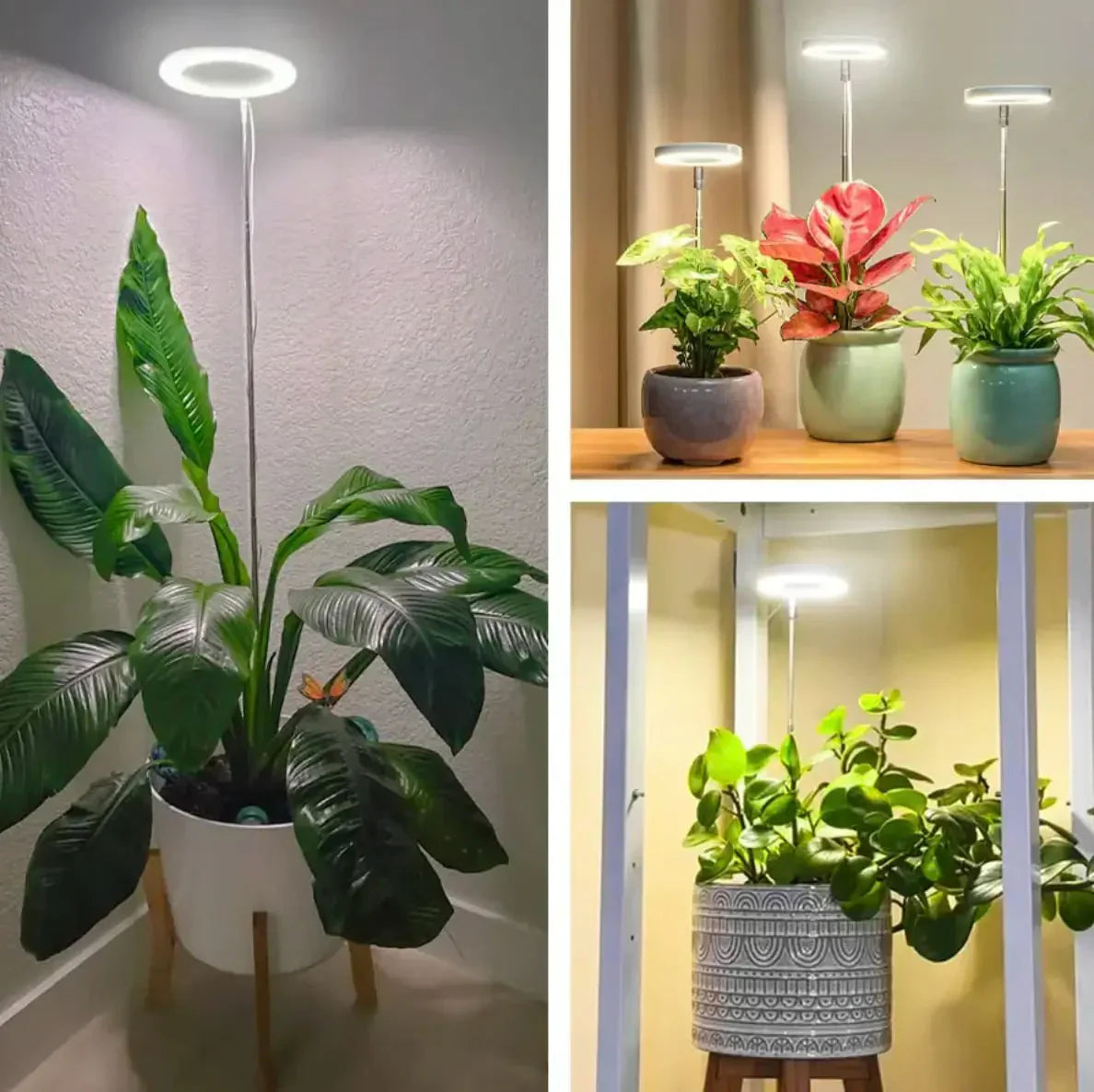 AdjustPlant | Verstellbare LED-Pflanzenlampe – Optimales Licht für gesundes Wachstum