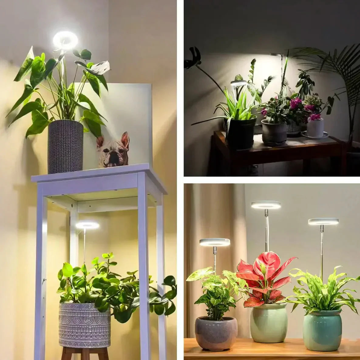 AdjustPlant | Verstellbare LED-Pflanzenlampe – Optimales Licht für gesundes Wachstum