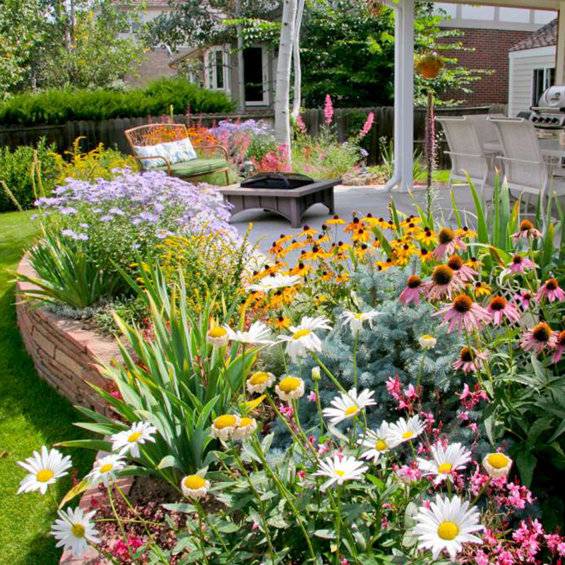 FlowerBloom™ | Mehrjährige Blumenmischung für ganzjährige Blütenpracht