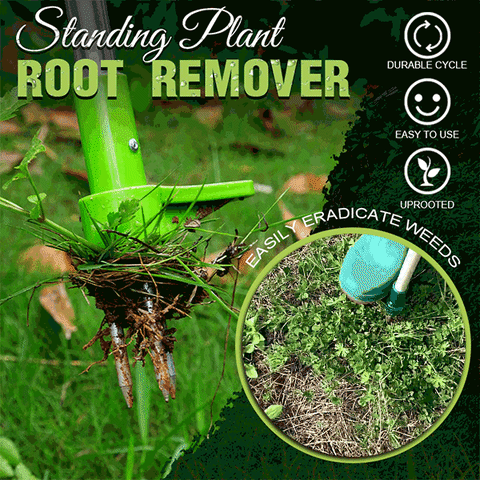 PlantRootPro™ | Stehende Pflanze Wurzelentferner