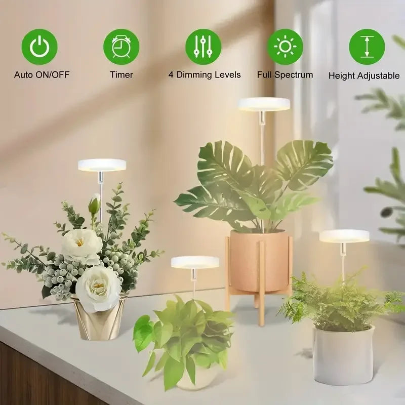 50% RABATT | LumiSprout™ | Vollspektrum LED-Pflanzenlampe mit Timer & Dimmung | ideal für Zimmerpflanzen