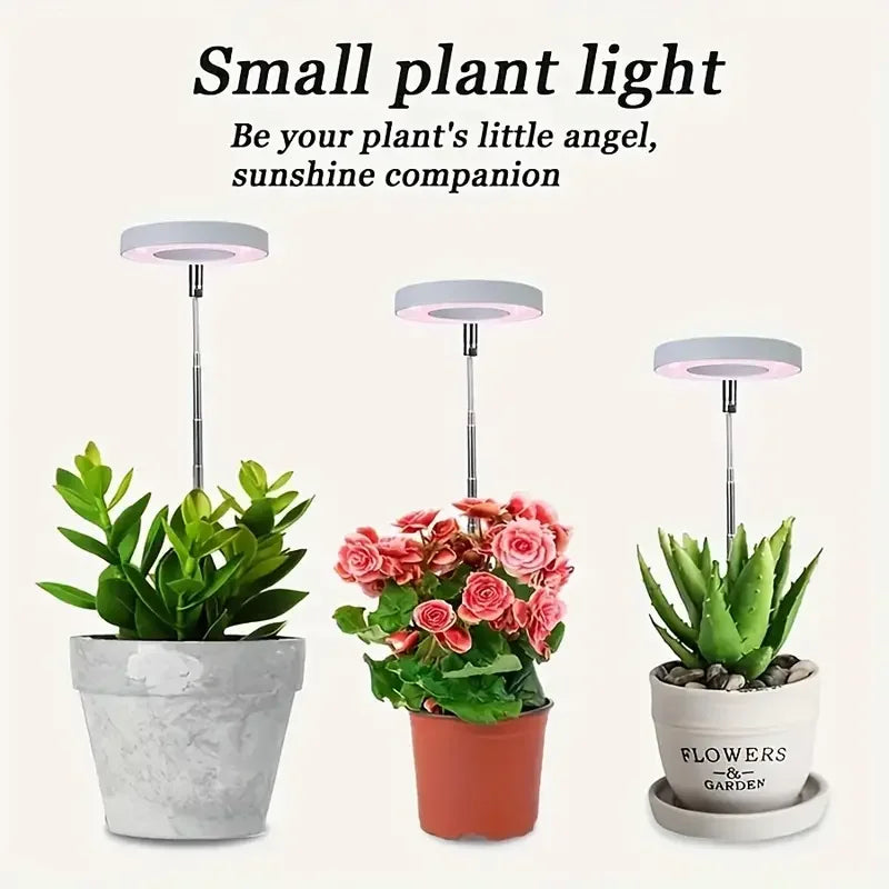 50% RABATT | LumiSprout™ | Vollspektrum LED-Pflanzenlampe mit Timer & Dimmung | ideal für Zimmerpflanzen