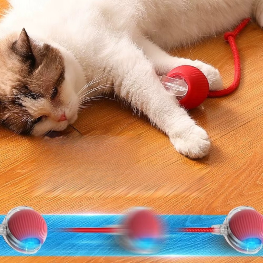 PawPlay™ | Interaktives Katzenspielzeug-Ball