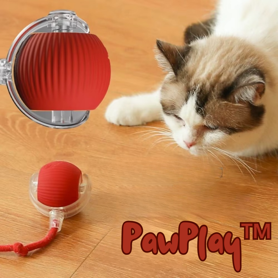 PawPlay™ | Interaktives Katzenspielzeug-Ball