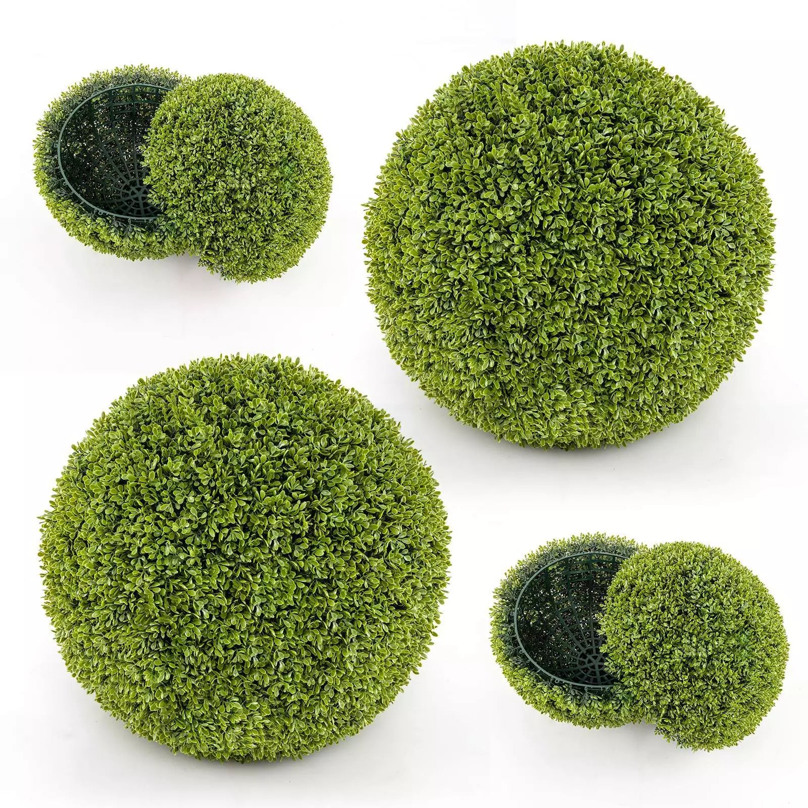 1+1 GRATIS | GreenSphere | Immergrüner Charme für Haus &amp; Garten