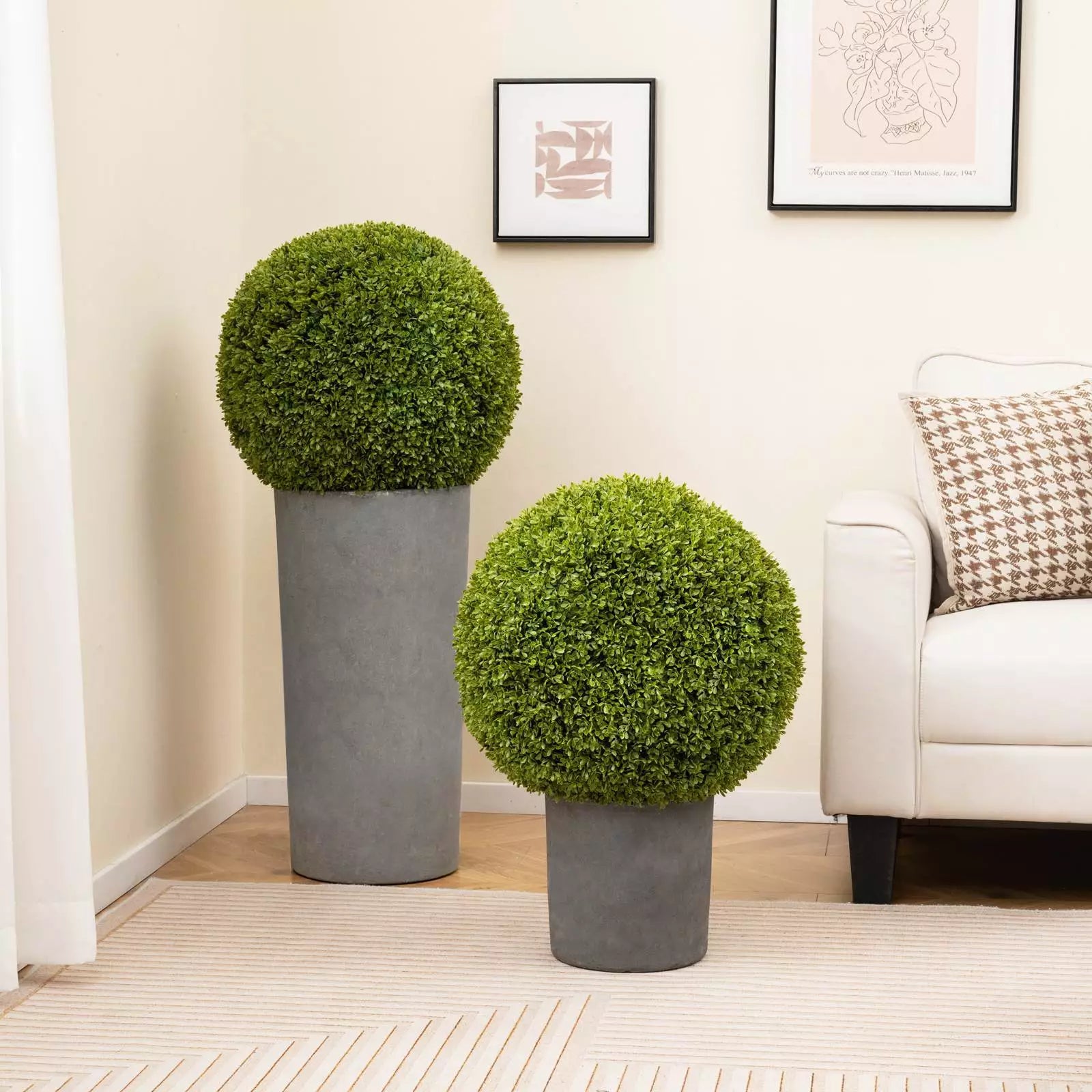 1+1 GRATIS | GreenSphere | Immergrüner Charme für Haus &amp; Garten